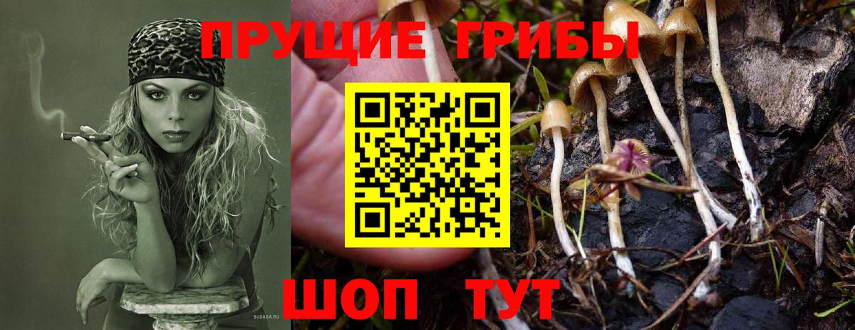 Псилоцибиновые грибы Psilocybe  Псилоцибиновые грибы мицелий  Воркута  Вход с VPN 